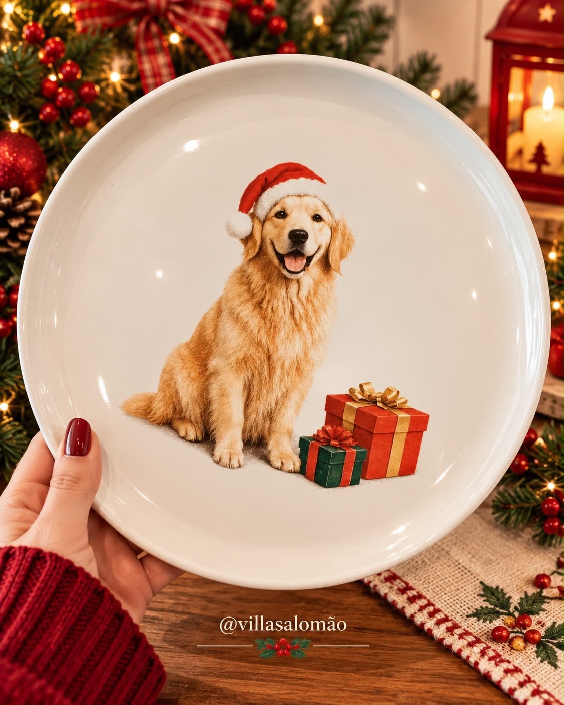 Inspiração de Natal Villa Salomão 27
